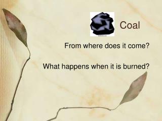 Coal