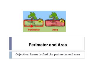 Perimeter and Area