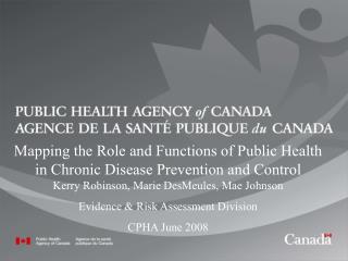 Mapping the Role and Functions of Public Health in Chronic Disease Prevention and Control