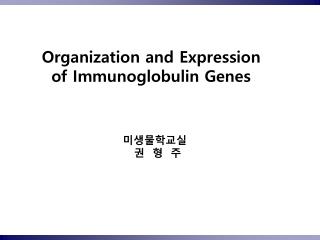 Organization and Expression of Immunoglobulin Genes