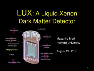 LUX : A Liquid Xenon Dark Matter Detector