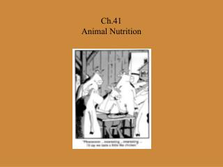 Ch.41 Animal Nutrition