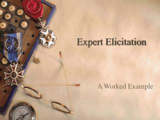 Expert Elicitation
