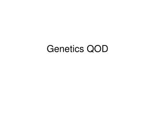 Genetics QOD