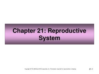 Chapter 21: Reproductive System