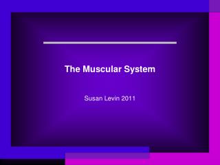 The Muscular System