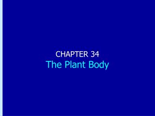 CHAPTER 34 The Plant Body