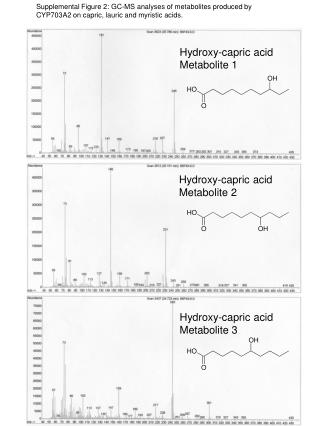 Hydroxy-capric acid Metabolite 2