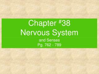 Chapter # 38 Nervous System