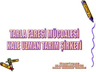 TARLA FARESİ MÜCDALESİ KALE UZMAN TARIM ŞİRKETİ