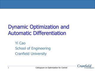 Dynamic Optimization and Automatic Differentiation