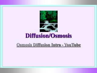 Diffusion/Osmosis