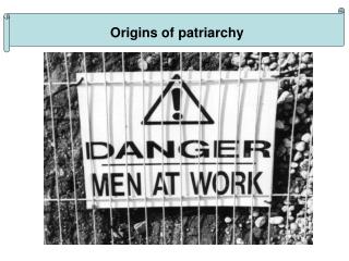 Origins of patriarchy