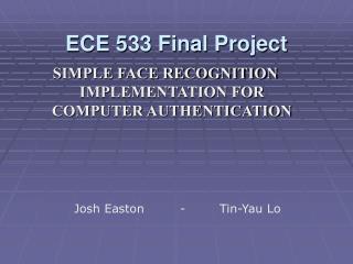 ECE 533 Final Project