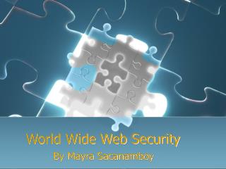 World Wide Web Security
