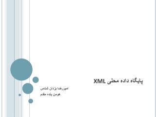 پايگاه داده محلی XML