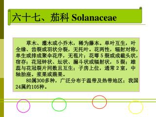 六十七、茄科 Solanaceae