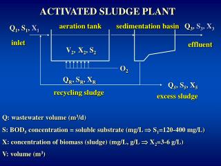 ACTIVATED SLUDGE PLANT