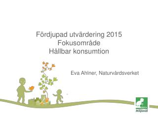 Fördjupad utvärdering 2015 Fokusområde Hållbar konsumtion