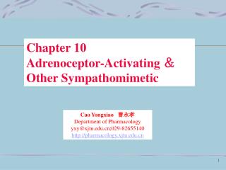 Chapter 10 Adrenoceptor-Activating ＆ Other Sympathomimetic