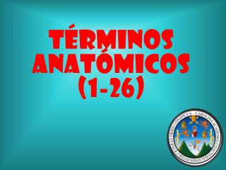 Términos anatómicos (1-26)