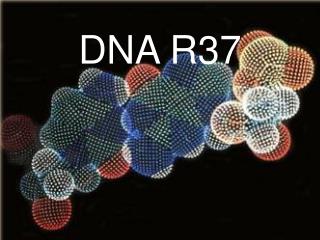 DNA R37