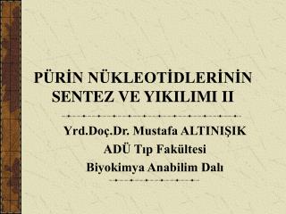 PÜRİN NÜKLEOTİDLERİNİN SENTEZ VE YIKILIMI II