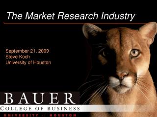 The Market Research Industry