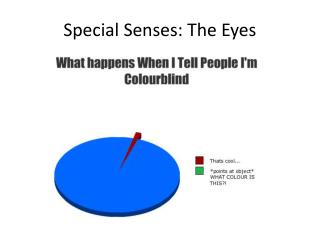 Special Senses: The Eyes
