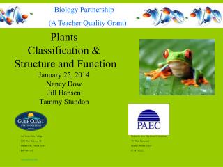 Plants Classification &amp; Structure and Function January 25, 2014 Nancy Dow Jill Hansen