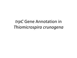 trpC Gene Annotation in Thiomicrospira crunogena