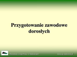 Przygotowanie zawodowe dorosłych