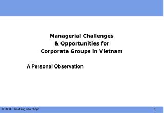 Managerial Challenges &amp; Opportunities for Corporate Groups in Vietnam