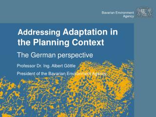 Addressing Adaptation in the Planning Context