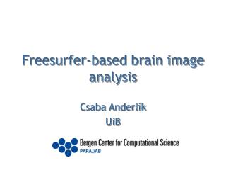 Freesurfer-based brain image analysis