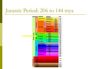 Jurassic Period: 206 to 144 mya