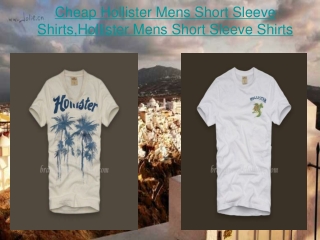 Cheap Hollister Mens Short Sleeve Shirts