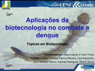 Aplicações da biotecnologia no combate a dengue Tópicos em Biotecnologia