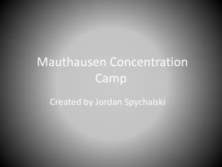 Mauthausen Concentration Camp