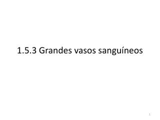 1.5.3 Grandes vasos sanguíneos