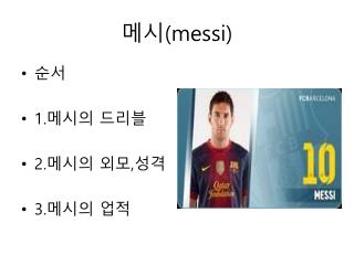 메시 ( messi )