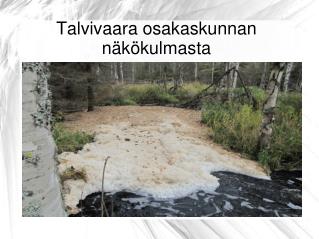 Talvivaara osakaskunnan näkökulmasta