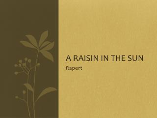 A Raisin in the Sun