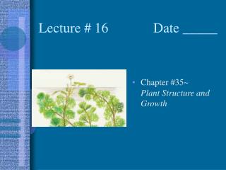 Lecture # 16 Date _____