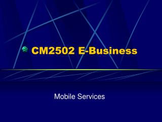 CM2502 E-Business
