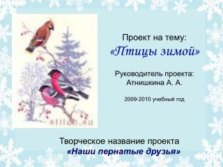 Проект на тему: «Птицы зимой» Руководитель проекта: Атнишкина А. А. 2009-2010 учебный год