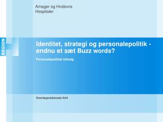 Identitet, strategi og personalepolitik - endnu et sæt Buzz words? Personalepolitisk Udvalg