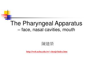 The Pharyngeal Apparatus – face, nasal cavities, mouth