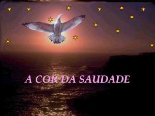 A COR DA SAUDADE