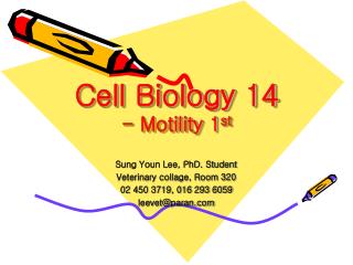Cell Biology 14 - Motility 1 st